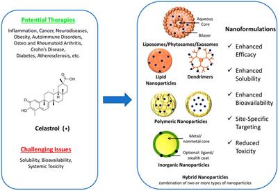 Nanotechnology-Based Celastrol Formulations and Their Therapeutic Applications